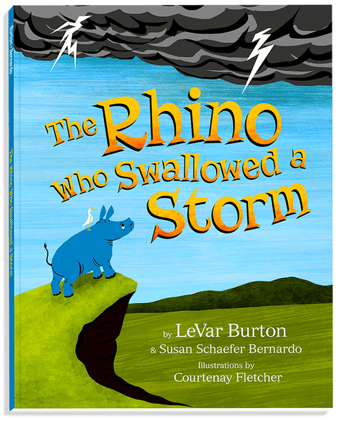 The Rhino Who Swallowed a Storm, Paperback